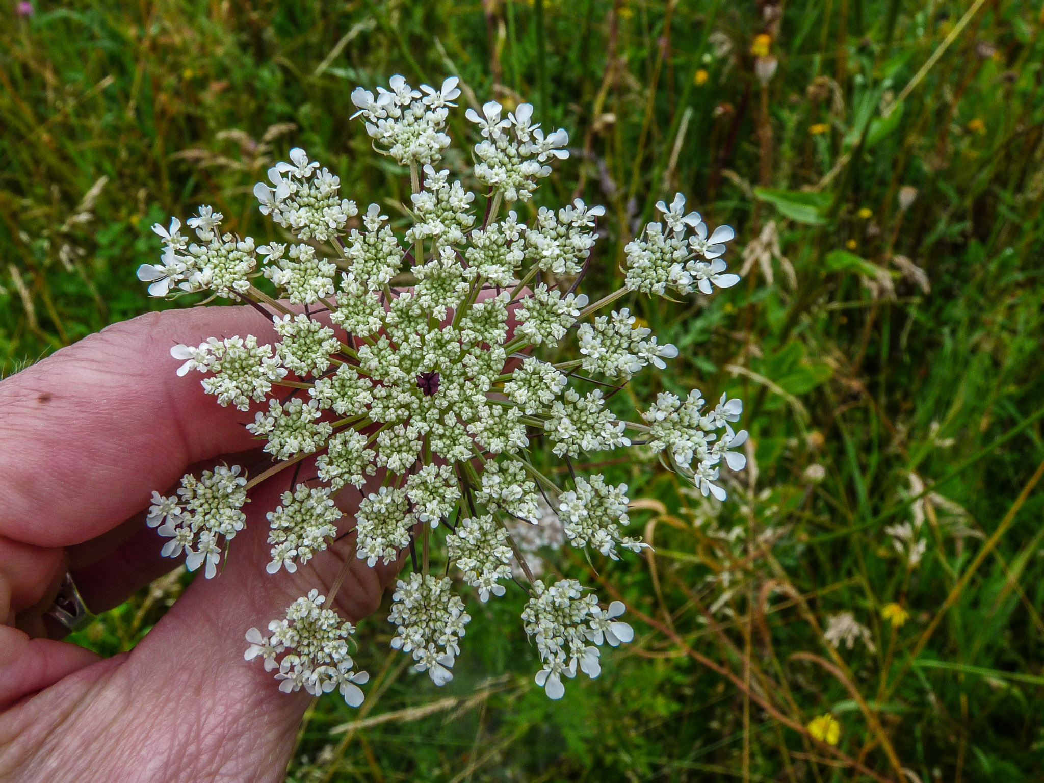 20210725100831 1130833